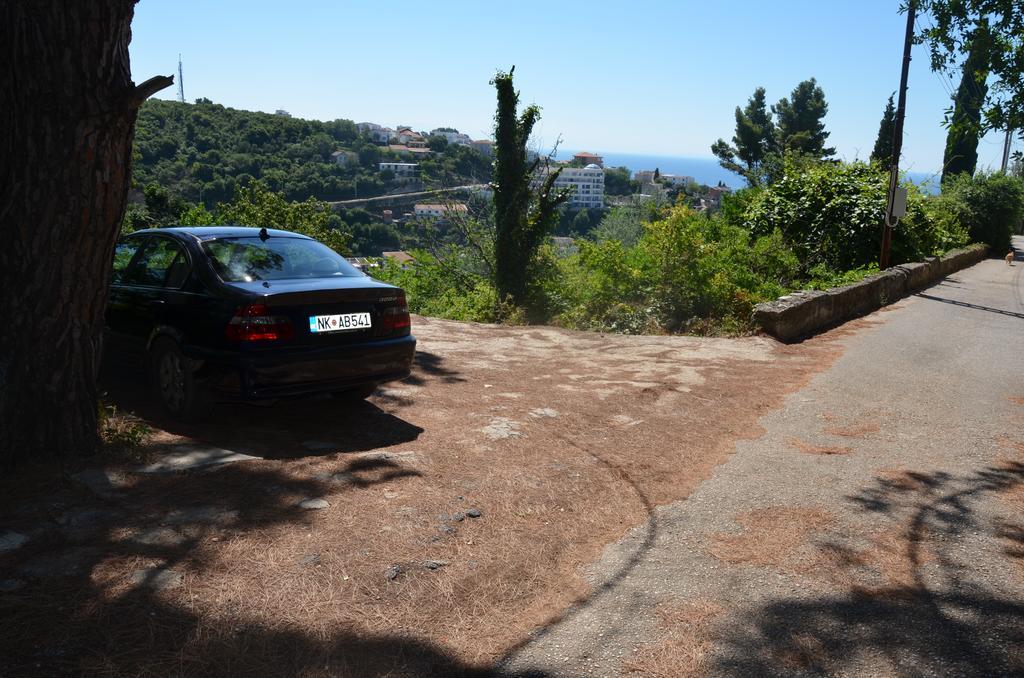 Apartment Dragovic Ulcinj Bagian luar foto